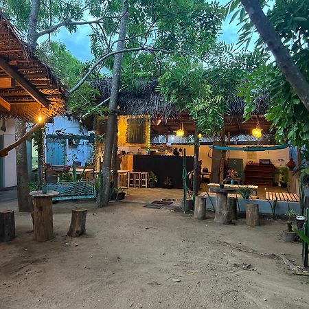 Cactus Arugambay Hostel Vịnh Arugam Ngoại thất bức ảnh