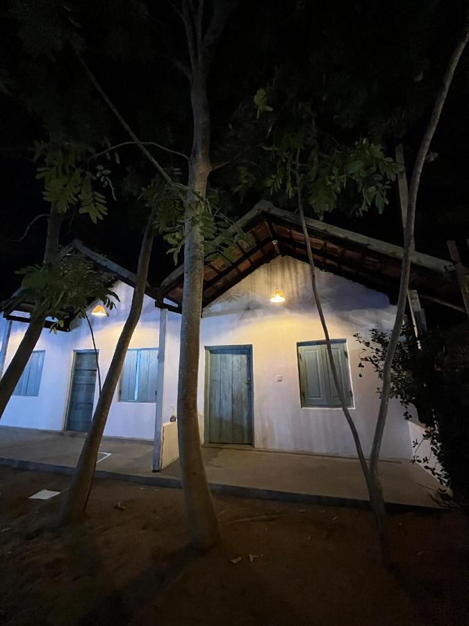 Cactus Arugambay Hostel Vịnh Arugam Ngoại thất bức ảnh
