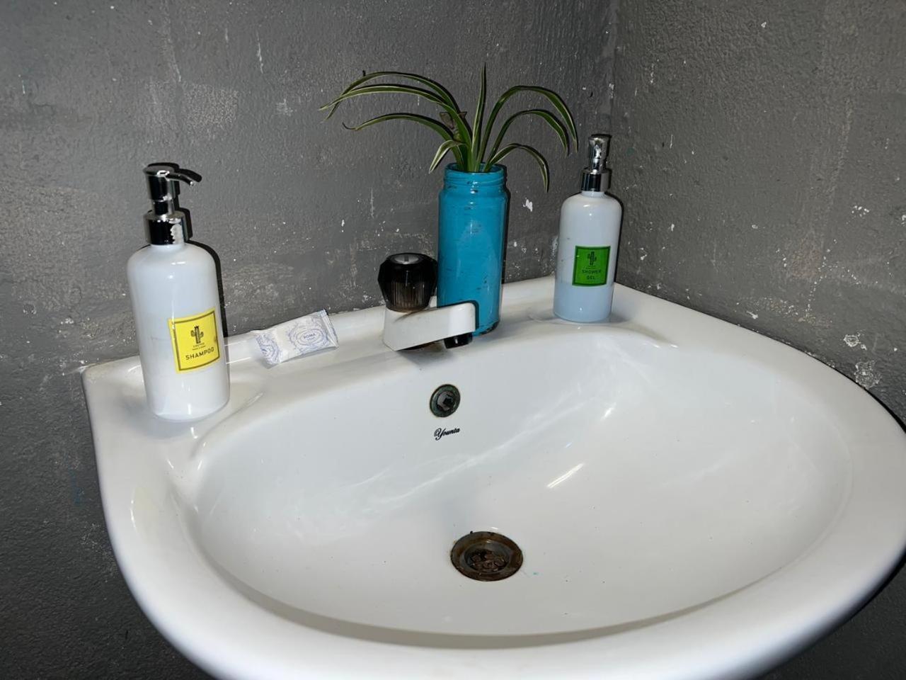 Cactus Arugambay Hostel Vịnh Arugam Ngoại thất bức ảnh