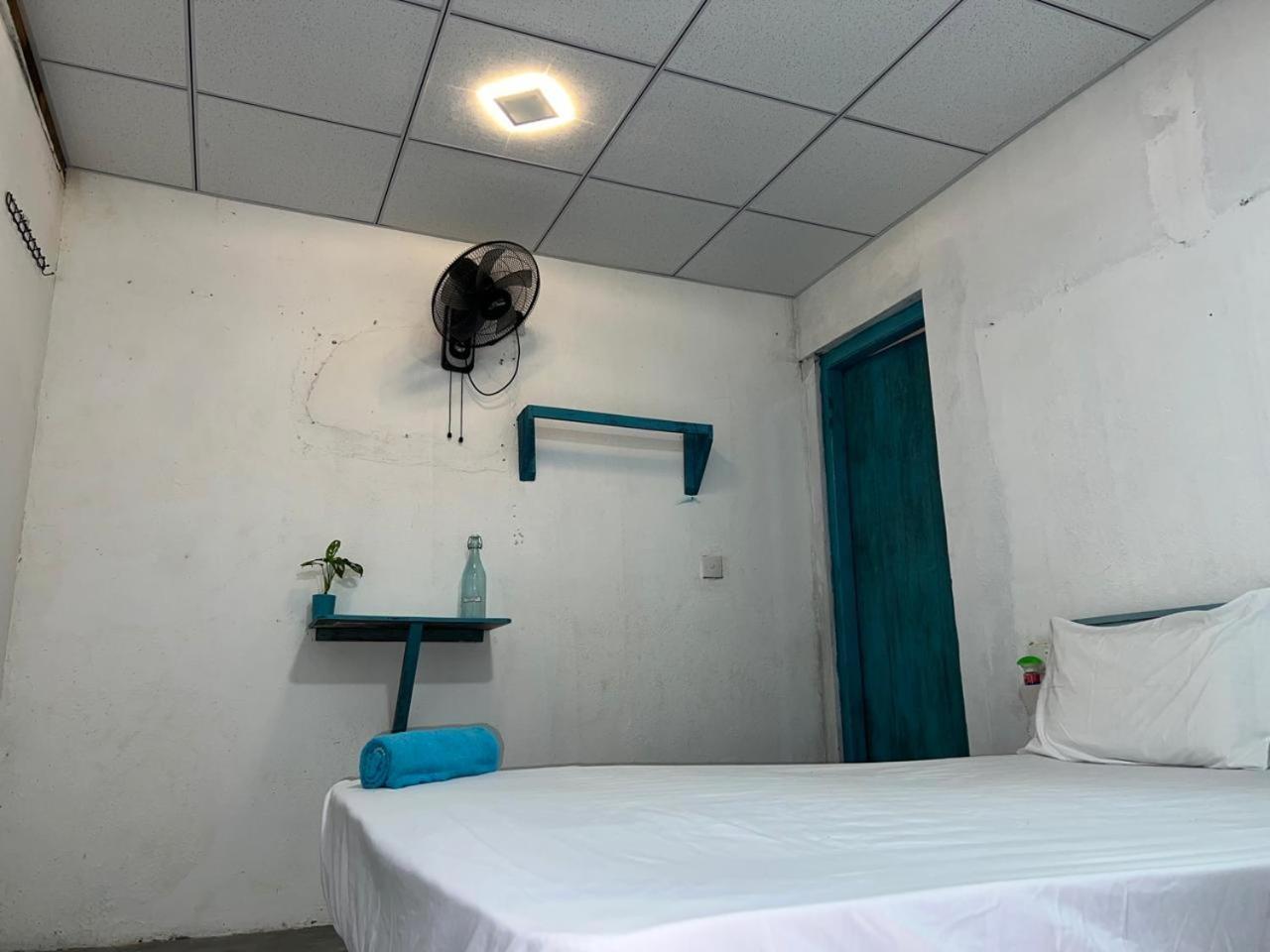 Cactus Arugambay Hostel Vịnh Arugam Ngoại thất bức ảnh