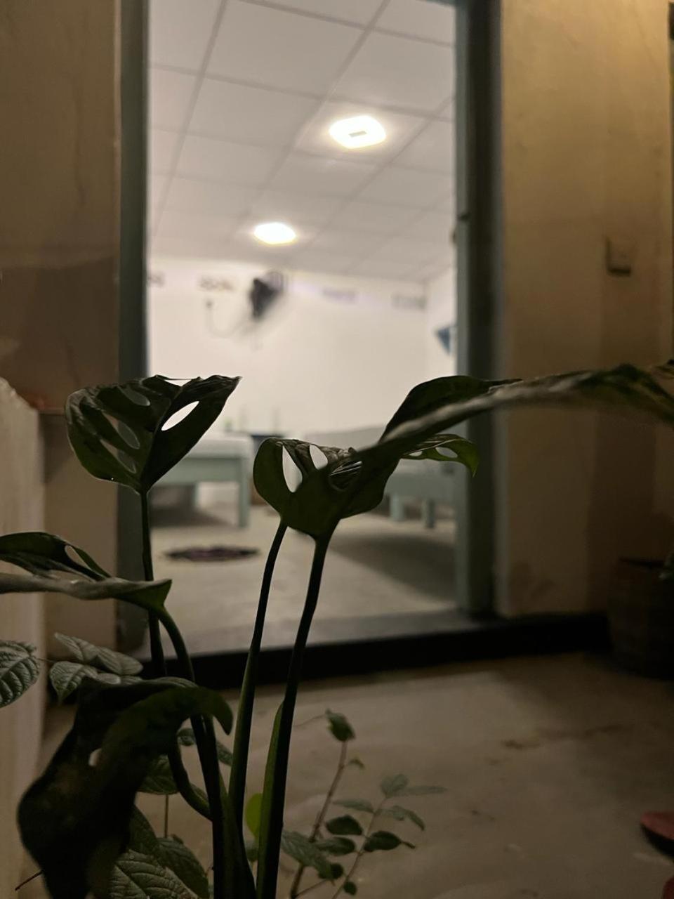 Cactus Arugambay Hostel Vịnh Arugam Ngoại thất bức ảnh