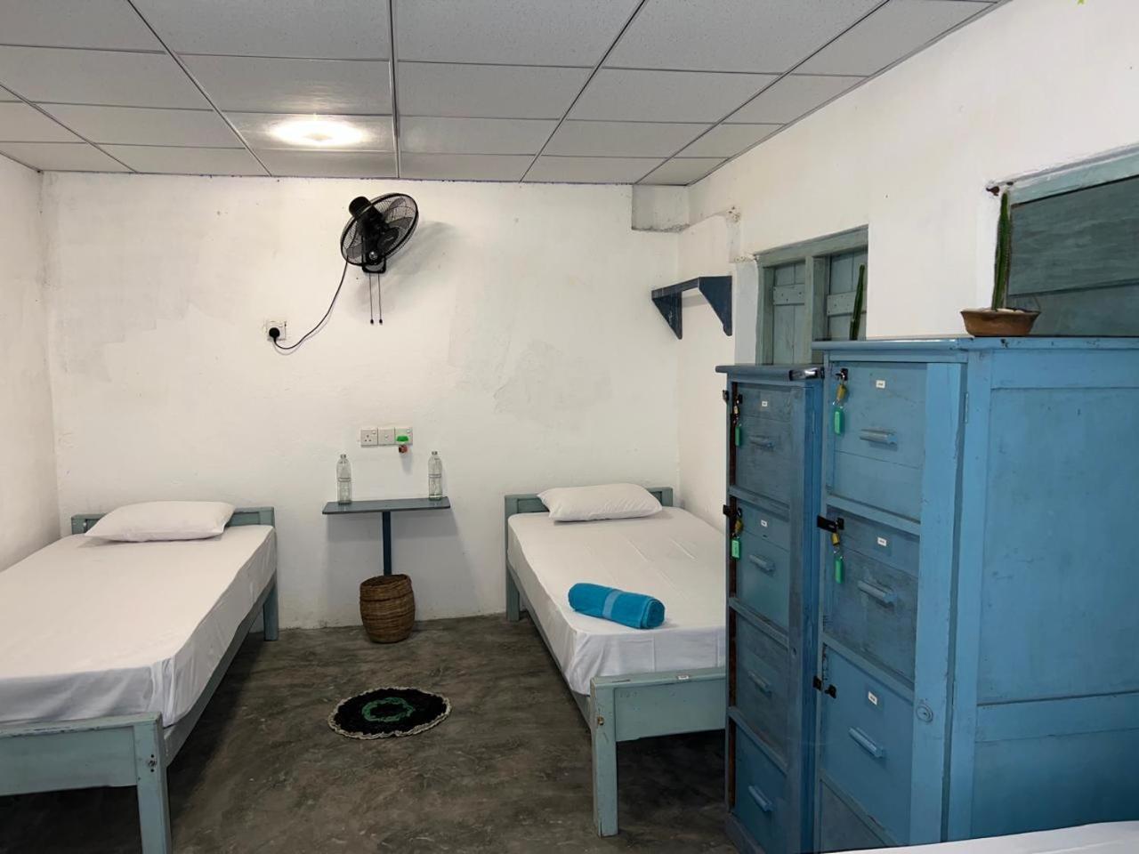 Cactus Arugambay Hostel Vịnh Arugam Ngoại thất bức ảnh
