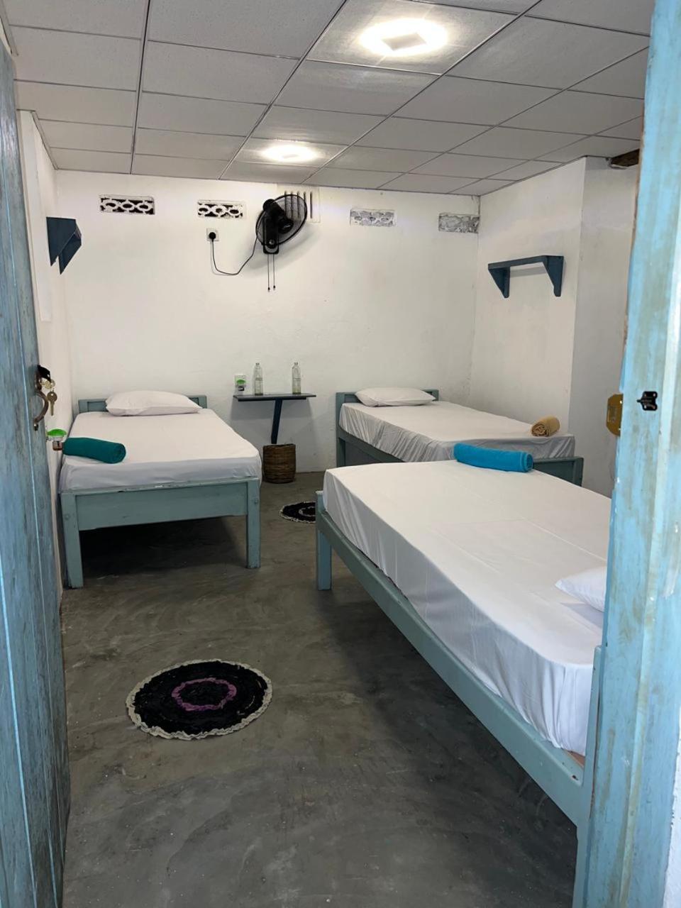 Cactus Arugambay Hostel Vịnh Arugam Ngoại thất bức ảnh