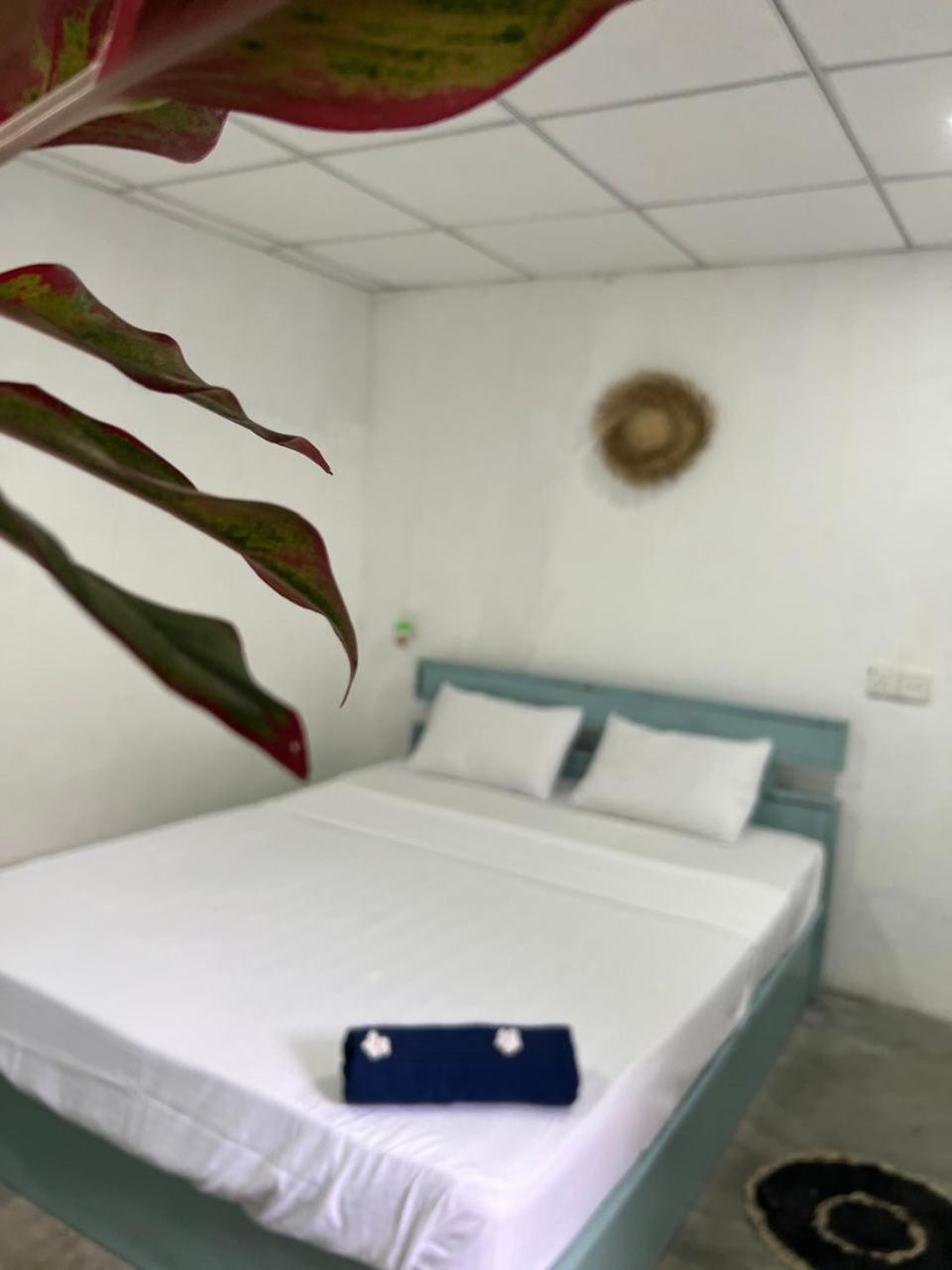 Cactus Arugambay Hostel Vịnh Arugam Ngoại thất bức ảnh
