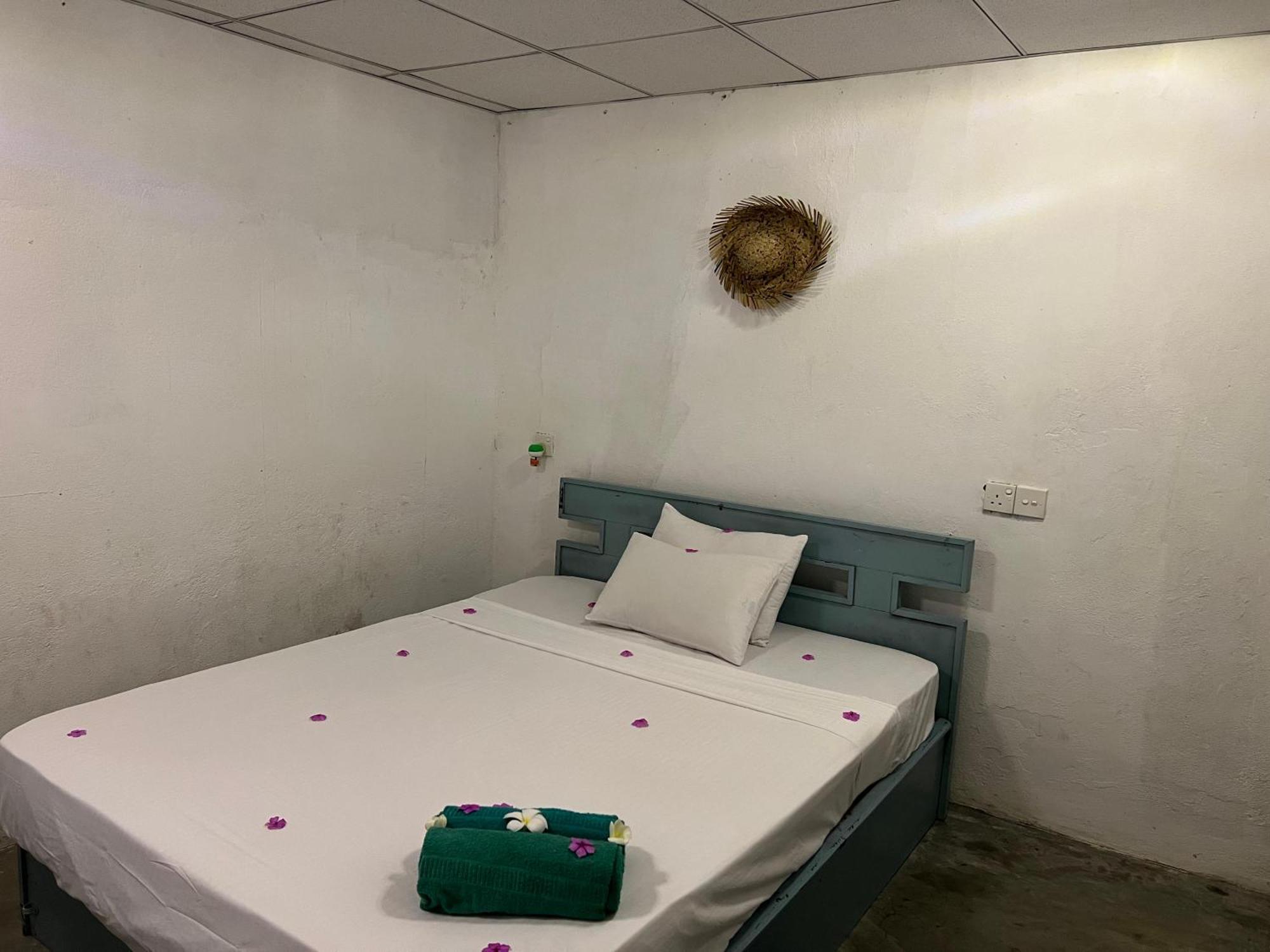 Cactus Arugambay Hostel Vịnh Arugam Ngoại thất bức ảnh