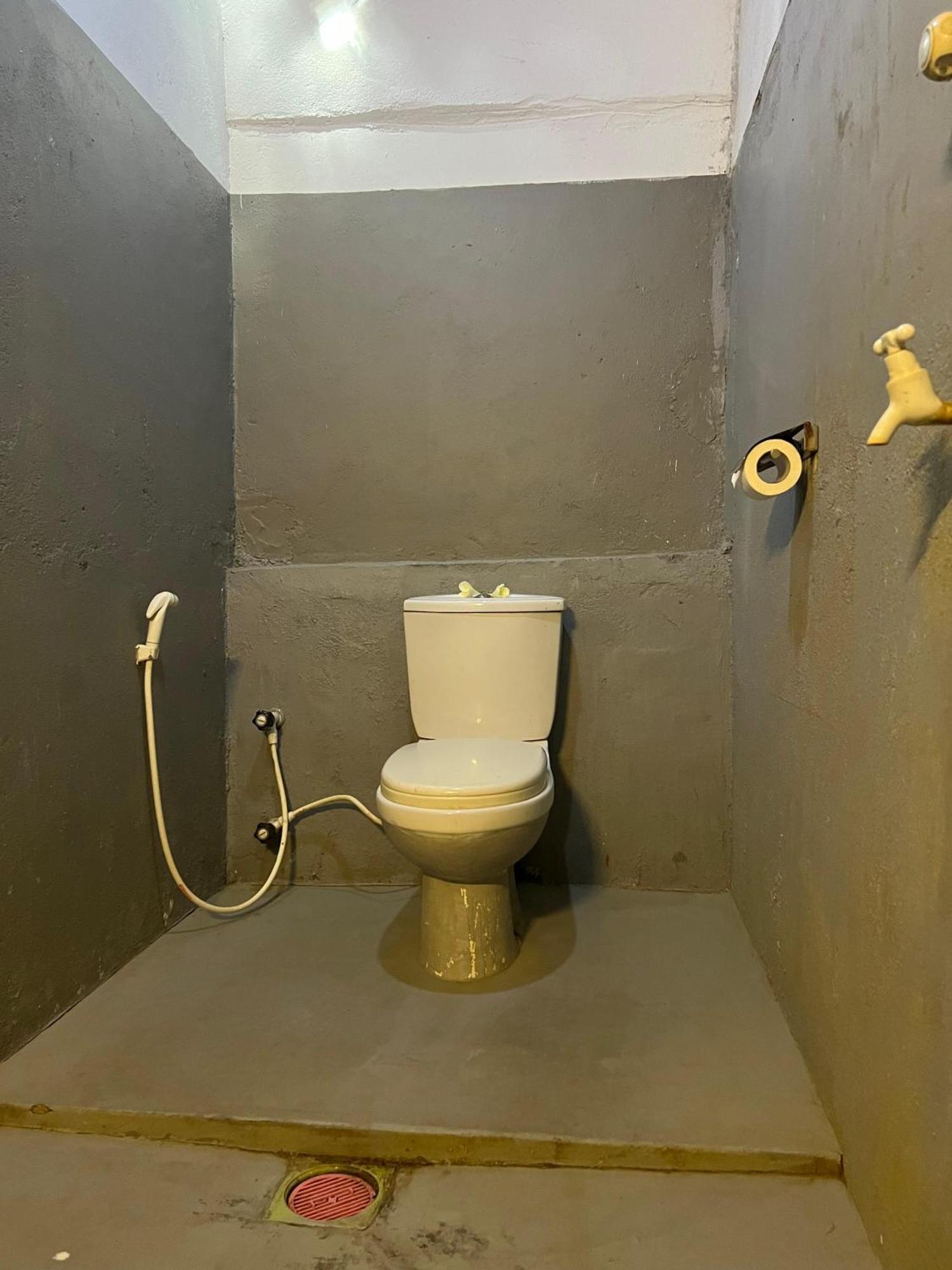 Cactus Arugambay Hostel Vịnh Arugam Ngoại thất bức ảnh