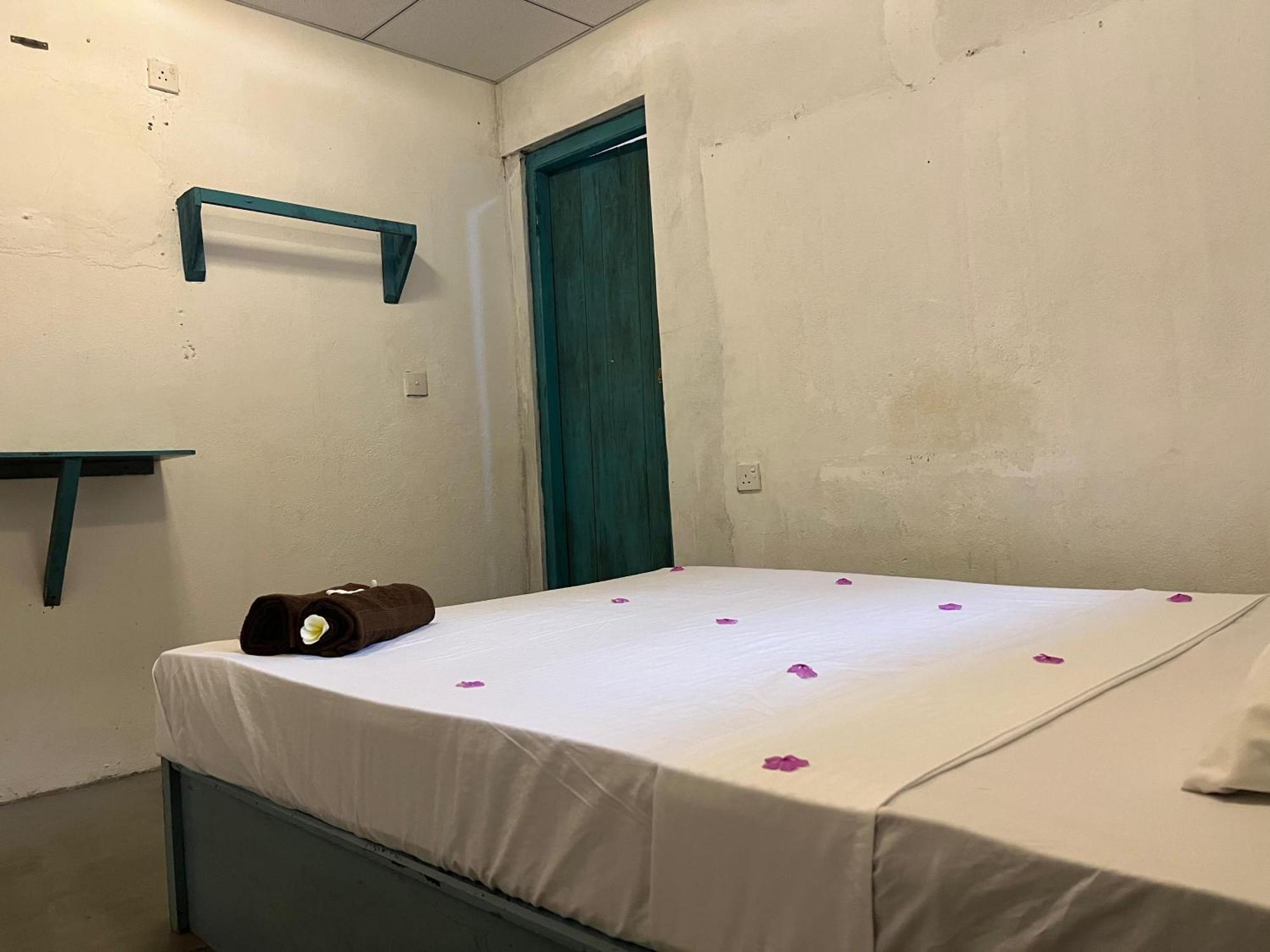 Cactus Arugambay Hostel Vịnh Arugam Ngoại thất bức ảnh
