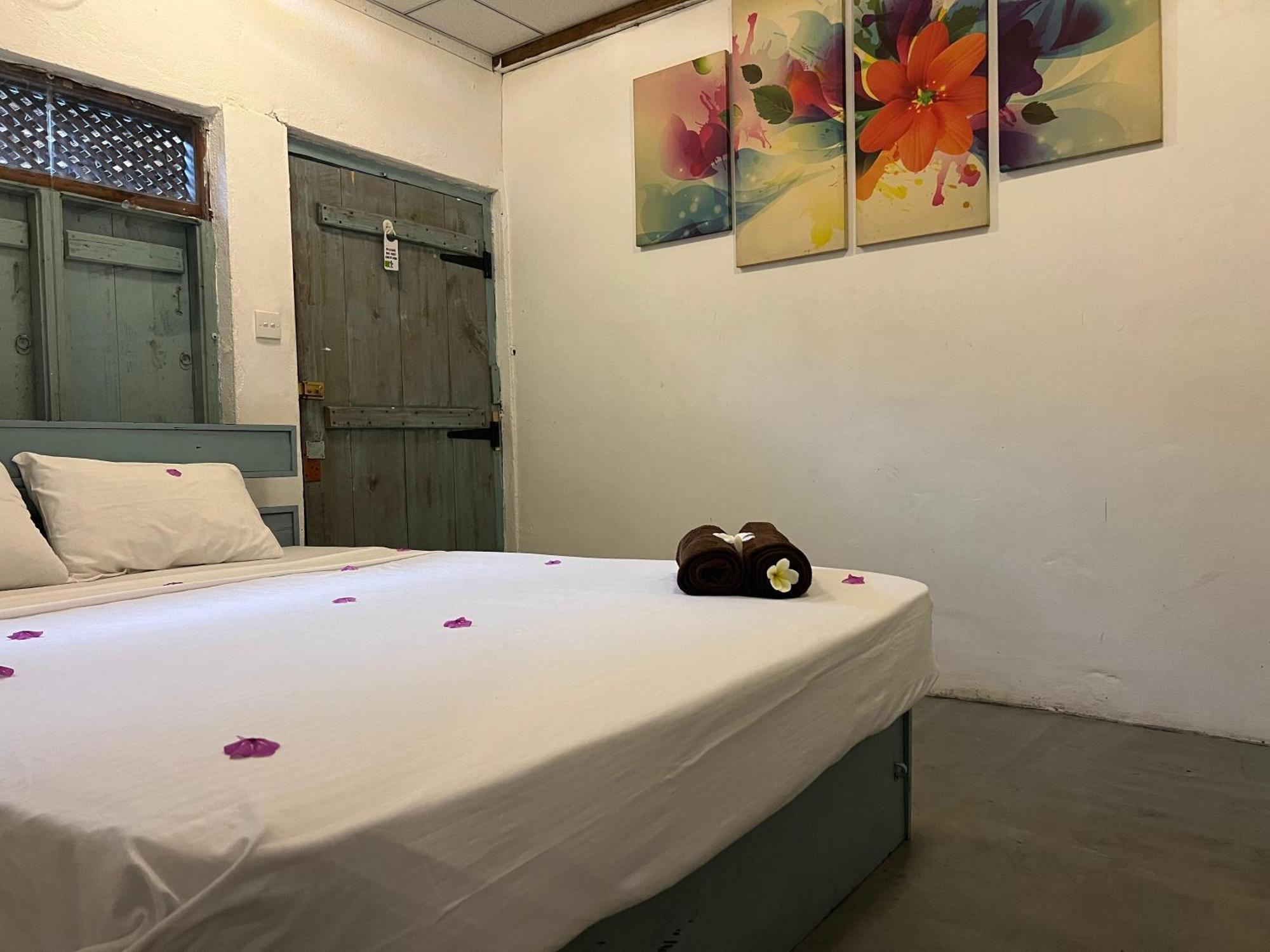 Cactus Arugambay Hostel Vịnh Arugam Ngoại thất bức ảnh