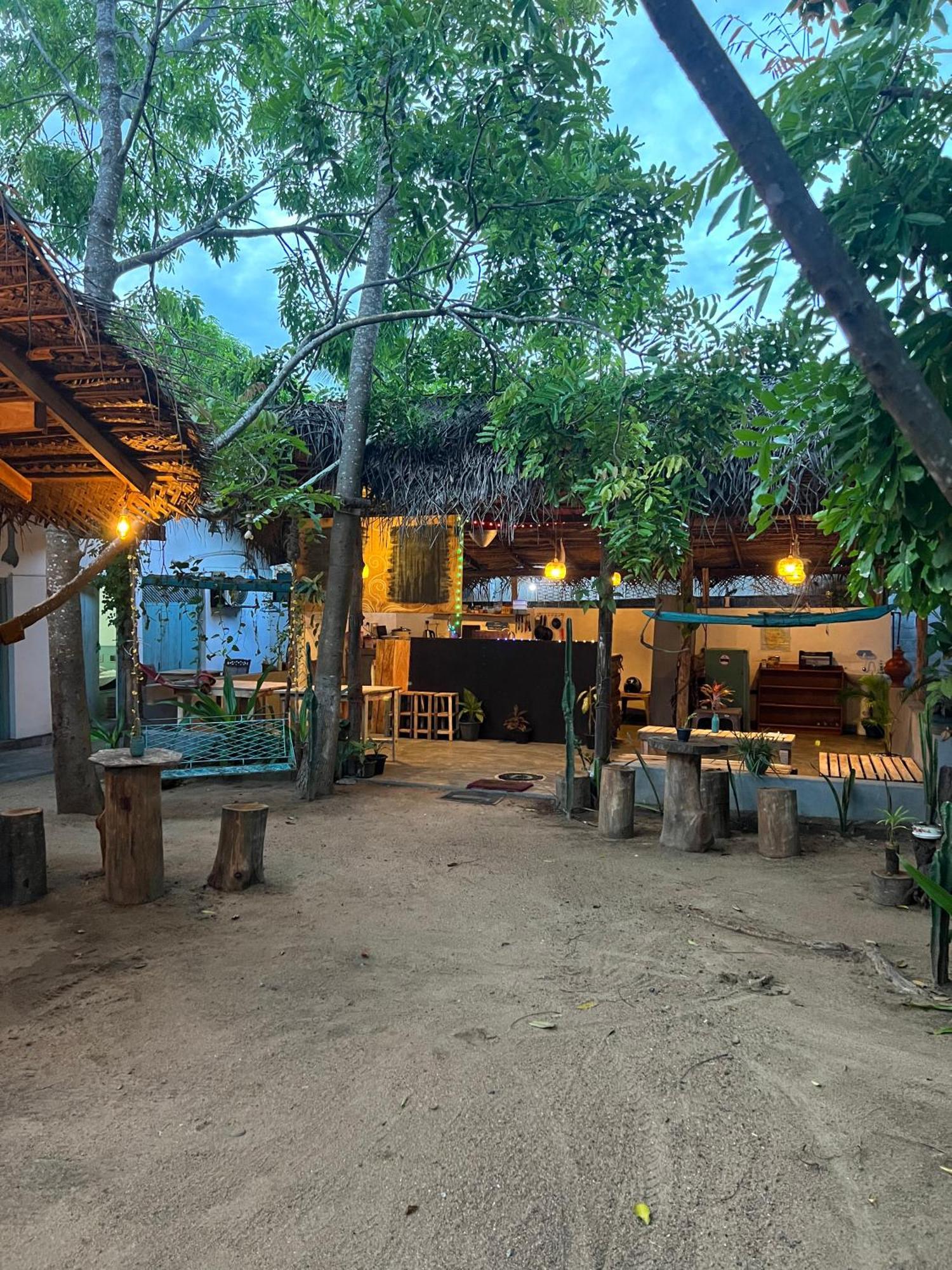 Cactus Arugambay Hostel Vịnh Arugam Ngoại thất bức ảnh