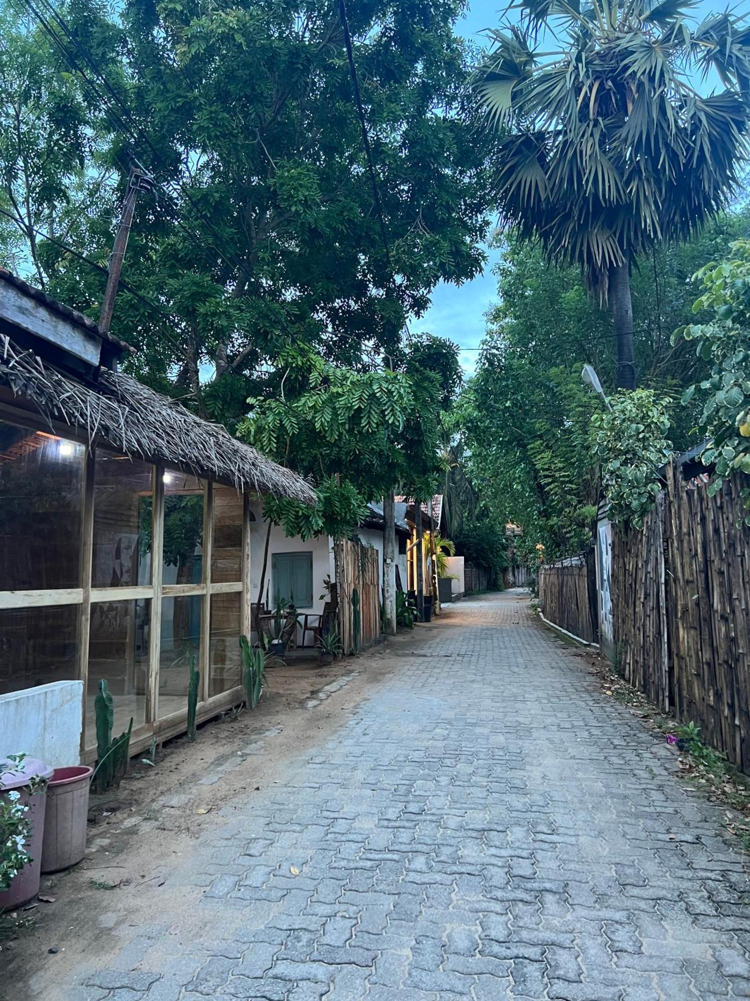 Cactus Arugambay Hostel Vịnh Arugam Ngoại thất bức ảnh