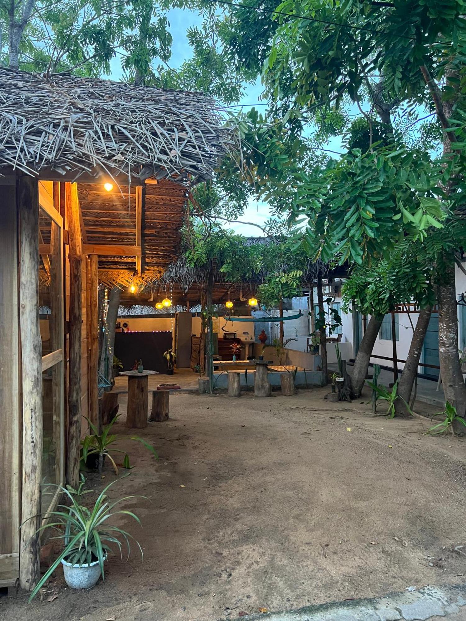 Cactus Arugambay Hostel Vịnh Arugam Ngoại thất bức ảnh