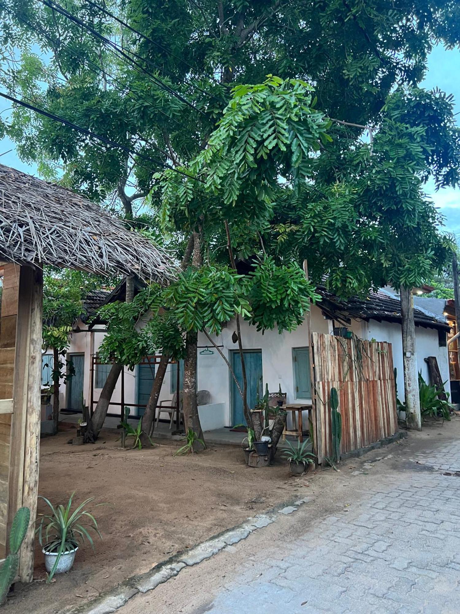 Cactus Arugambay Hostel Vịnh Arugam Ngoại thất bức ảnh
