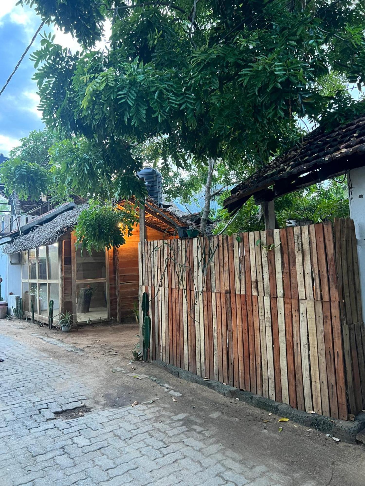 Cactus Arugambay Hostel Vịnh Arugam Ngoại thất bức ảnh