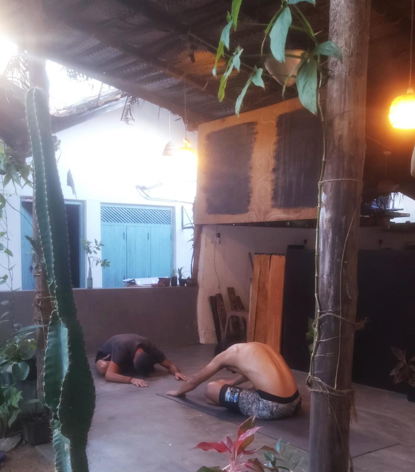 Cactus Arugambay Hostel Vịnh Arugam Ngoại thất bức ảnh