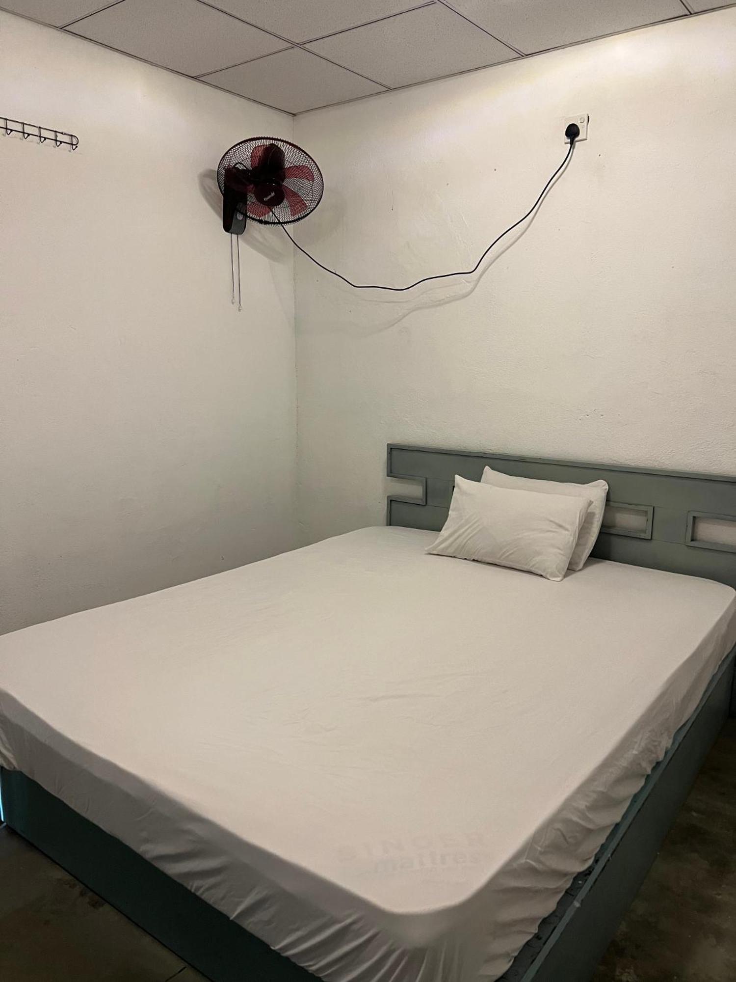 Cactus Arugambay Hostel Vịnh Arugam Ngoại thất bức ảnh